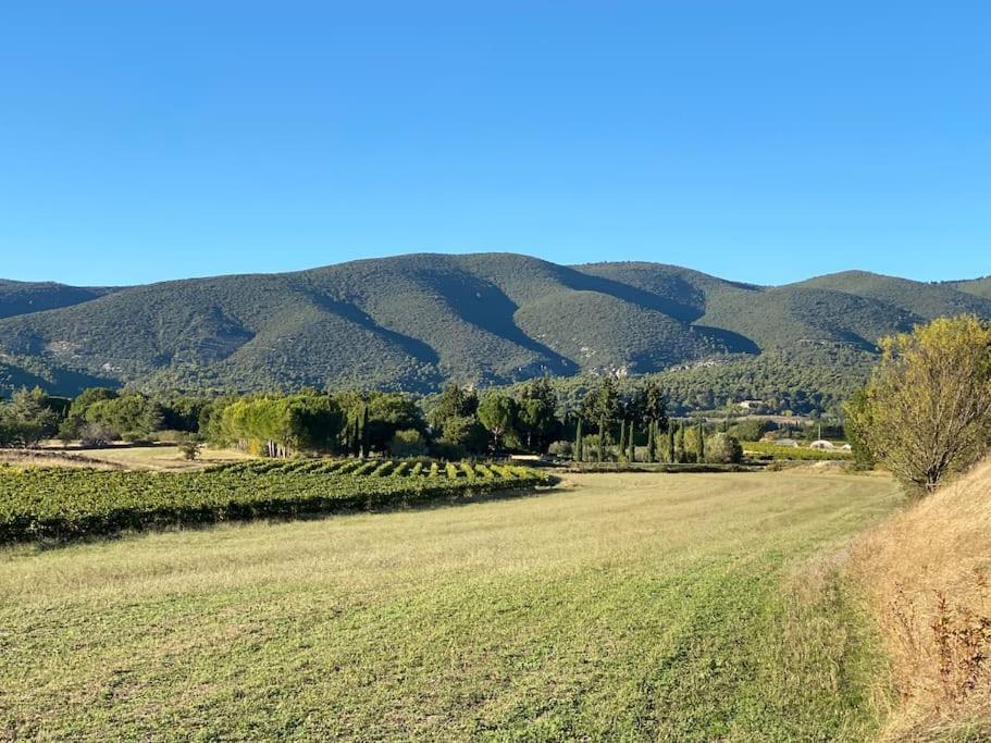 Charmante Dependance Avec Piscine En Provence *