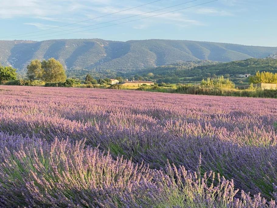 Holiday home Charmante Dependance Avec Piscine En Provence